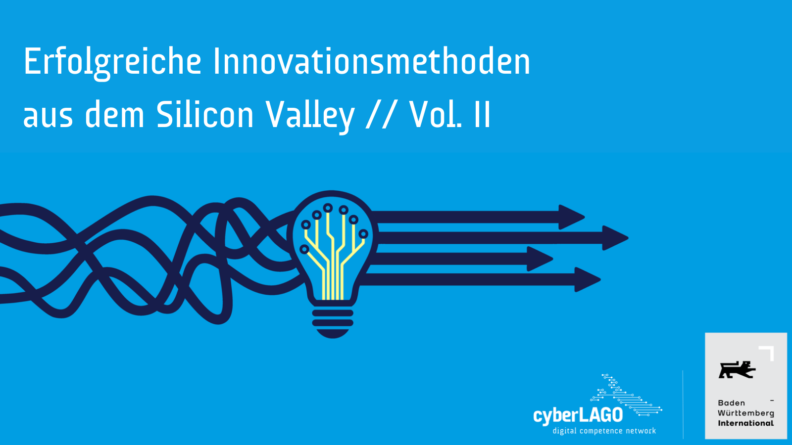 Innovationsmethoden aus dem Silicon valley Vol. II