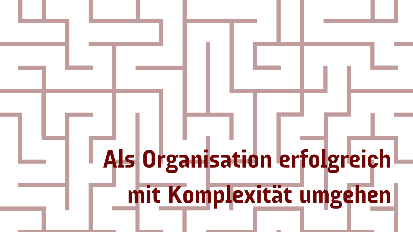 Organisation Komplexität